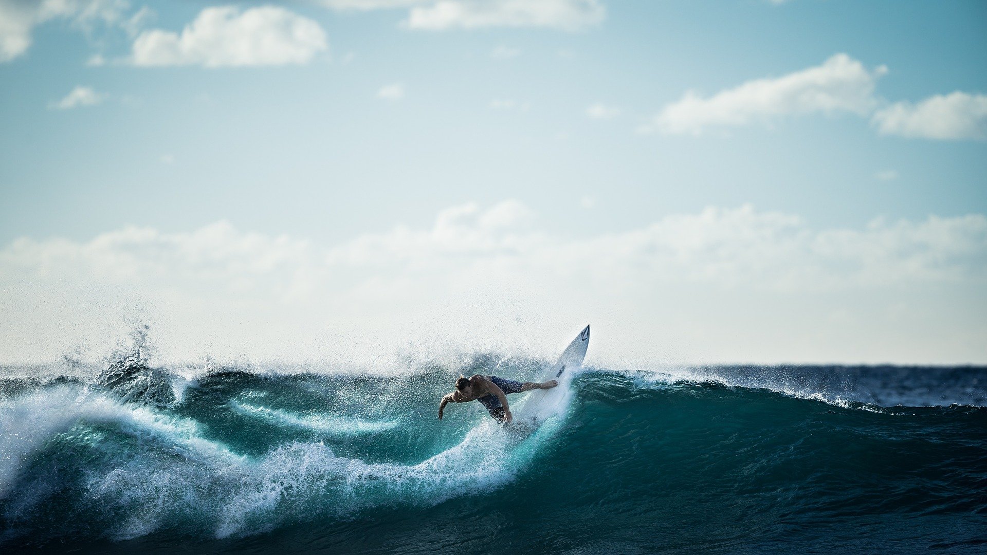 surfing